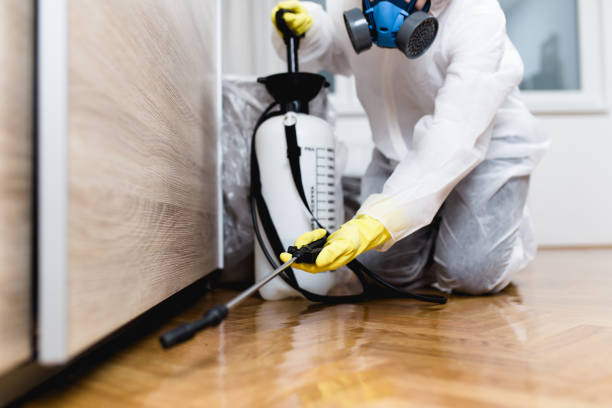 Trusted Kenner, LA Pest Control Experts