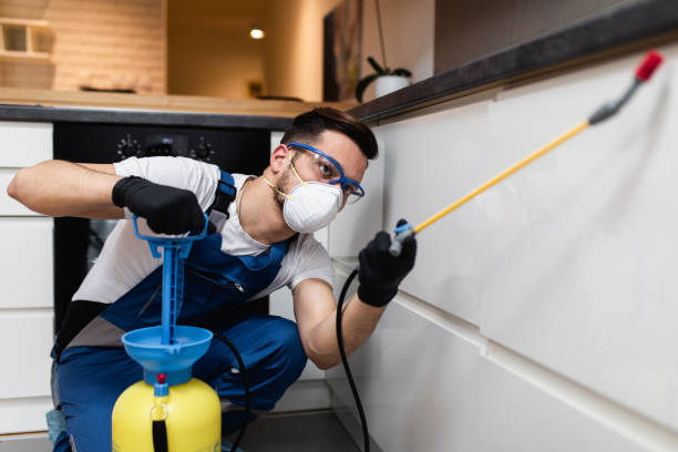 Best Pest Prevention Services  in Kenner, LA