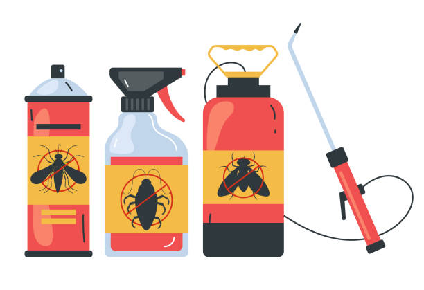 Best Wasp Removal Services  in Kenner, LA