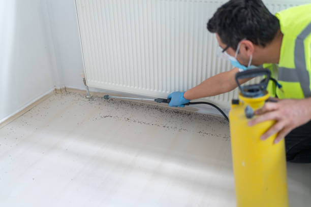 Best Best Pest Control Companies  in Kenner, LA